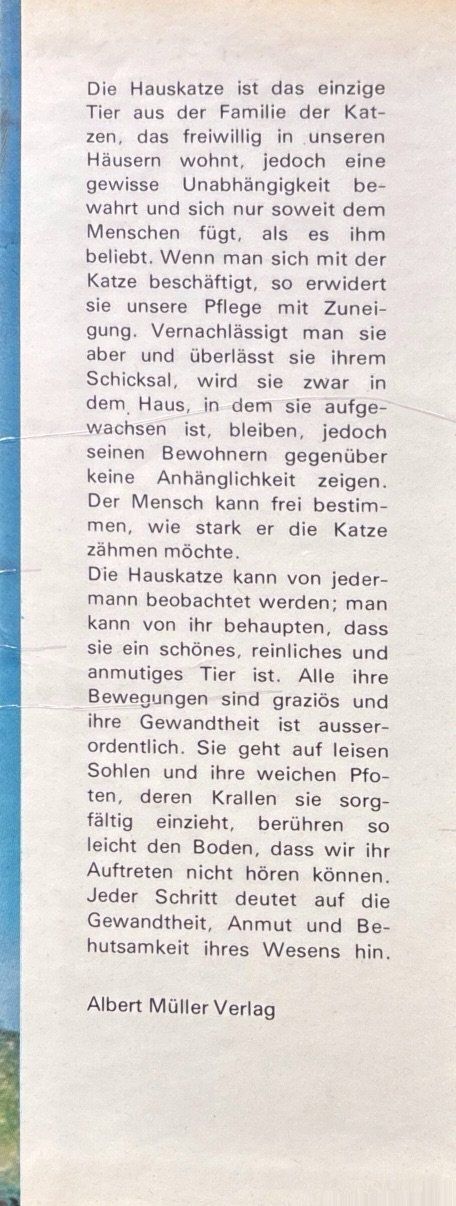 Libri: Katzen die wir lieben – Nuovo (secondo la descrizione) da Sarnen venduto da Livres 2