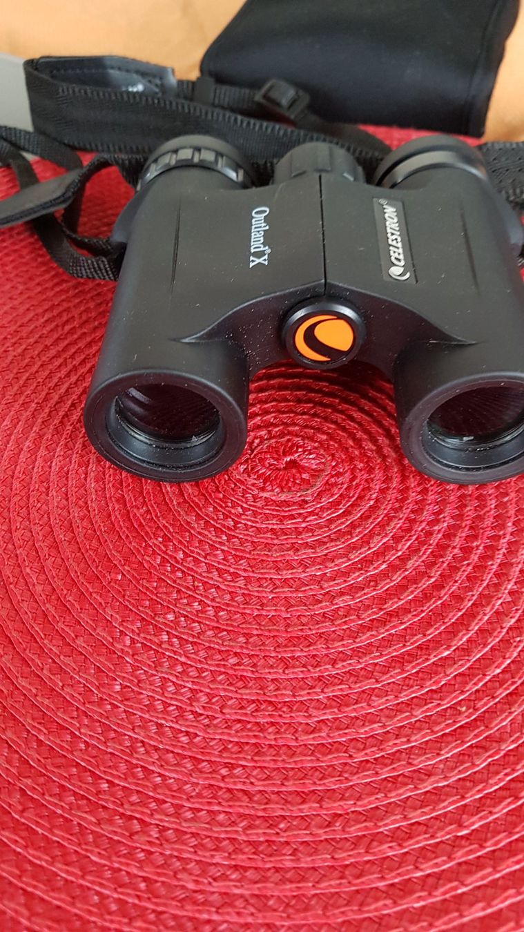 Celestron Binocoli: Feldstecher OUTLAND X CELESTRON 10x25 – Usato da Biel / bienne venduto da Sarouch9 1
