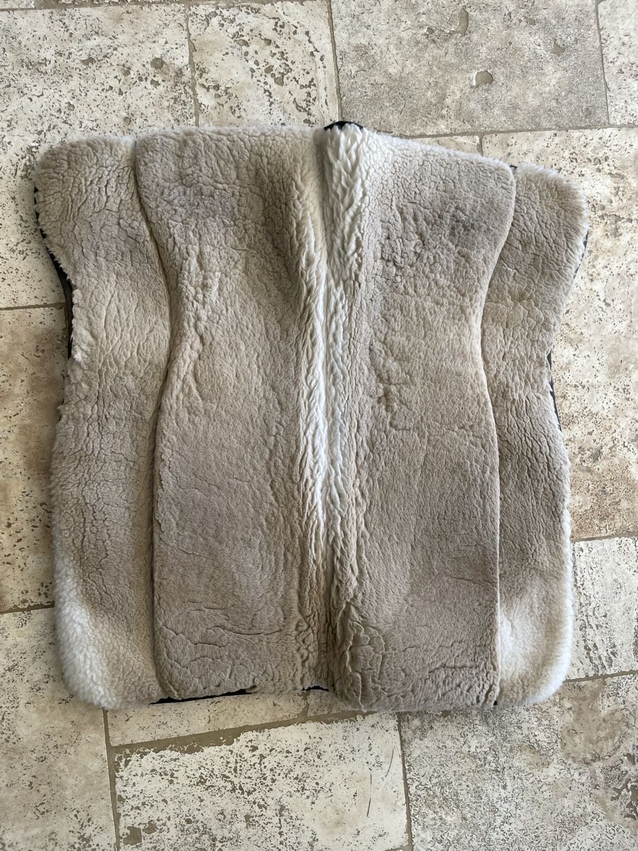 Coperte: Western Pad / Orthoimpact 78cm – Usato da Villarepos venduto da Cairo44444 2