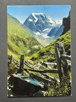 Arolla, le Mont Collon - 1967 - Stempel !!!