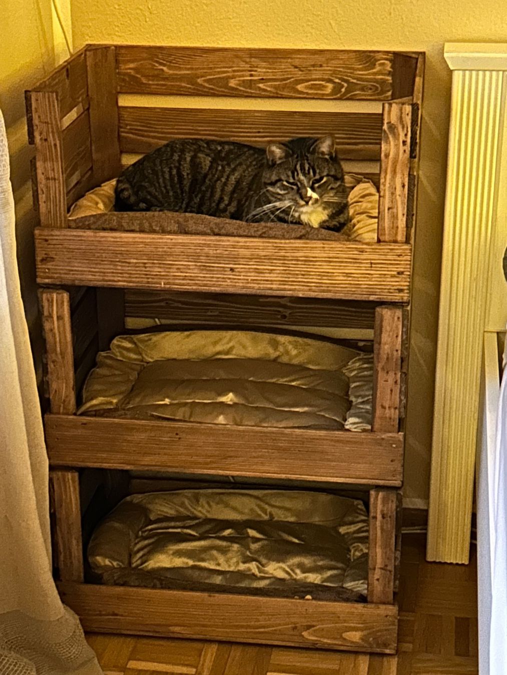 Cucce & Letti: Katzen oder Hunde Bett – Usato da Bern venduto da Dafi7 6