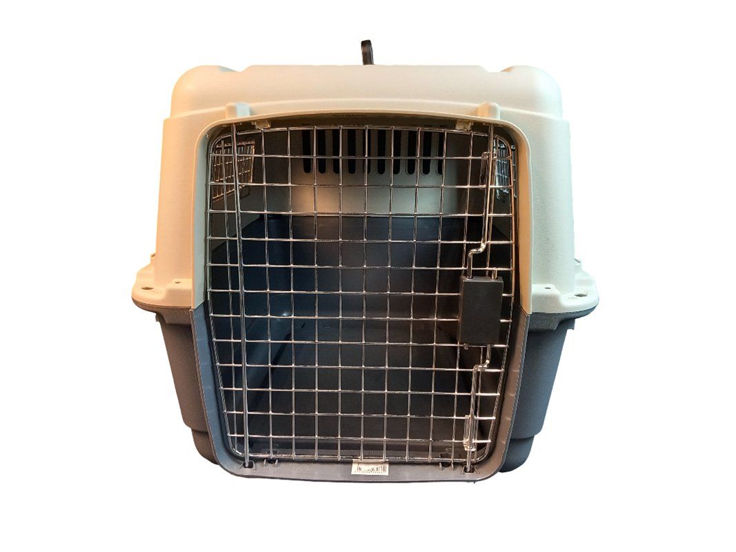Swisspet Gabbie, trasporto & Sicurezza: SWISSPET Hundetransportbox – Usato da Hünenberg venduto da Restwert_Zug 6