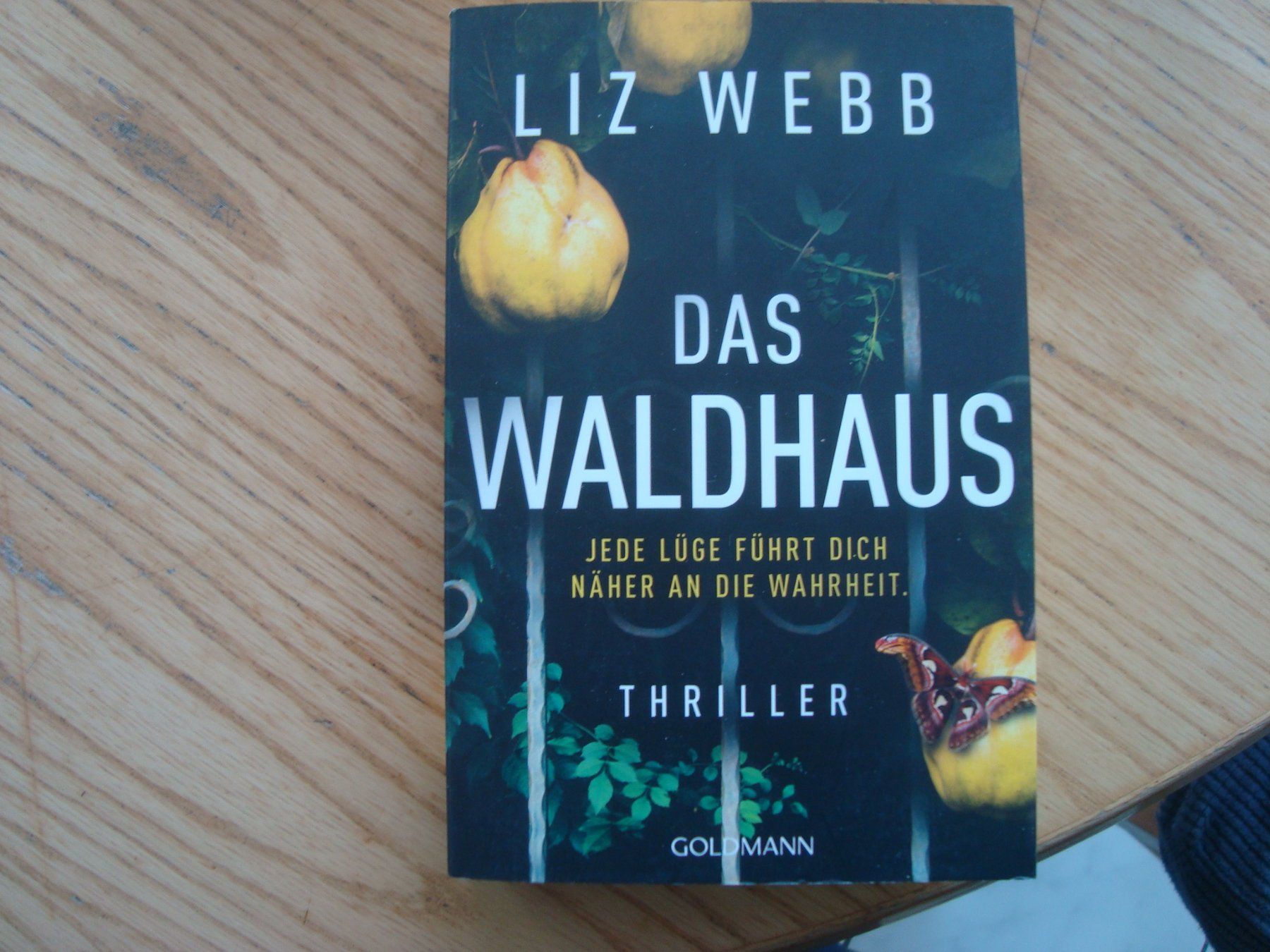 Libri: Liz Webb (1 Buch) – Usato da Aesch LU venduto da wysshan