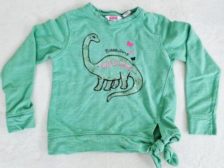 Mädchen Dino Pullover KIDS Gr. 110 4-5Y 100% Bio Baumwolle
