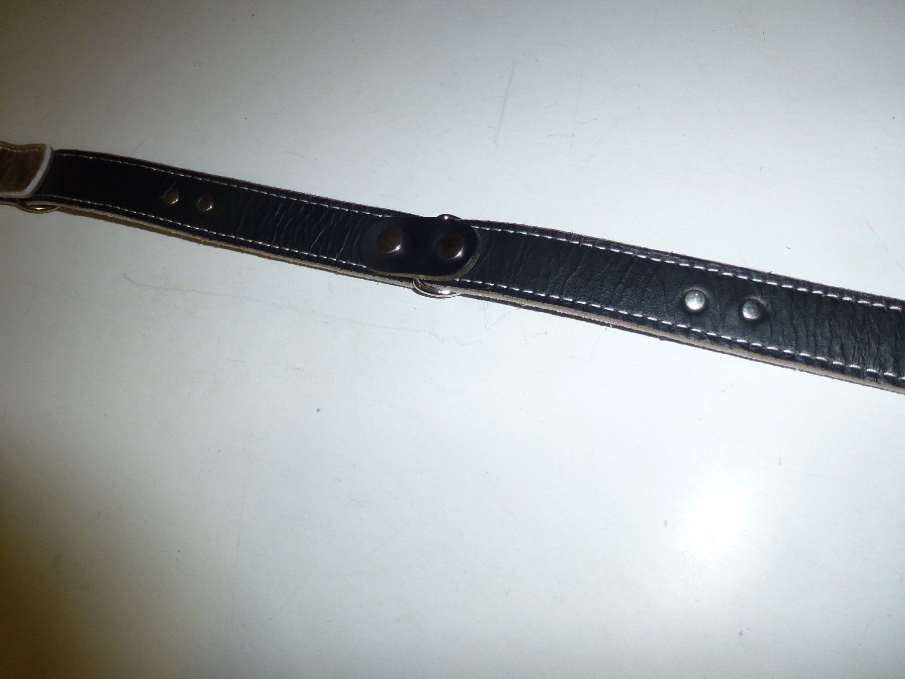 Guinzagli & Collari: Hundehalsband – Nuovo (secondo la descrizione) da Bürglen UR venduto da daisyxy5 4