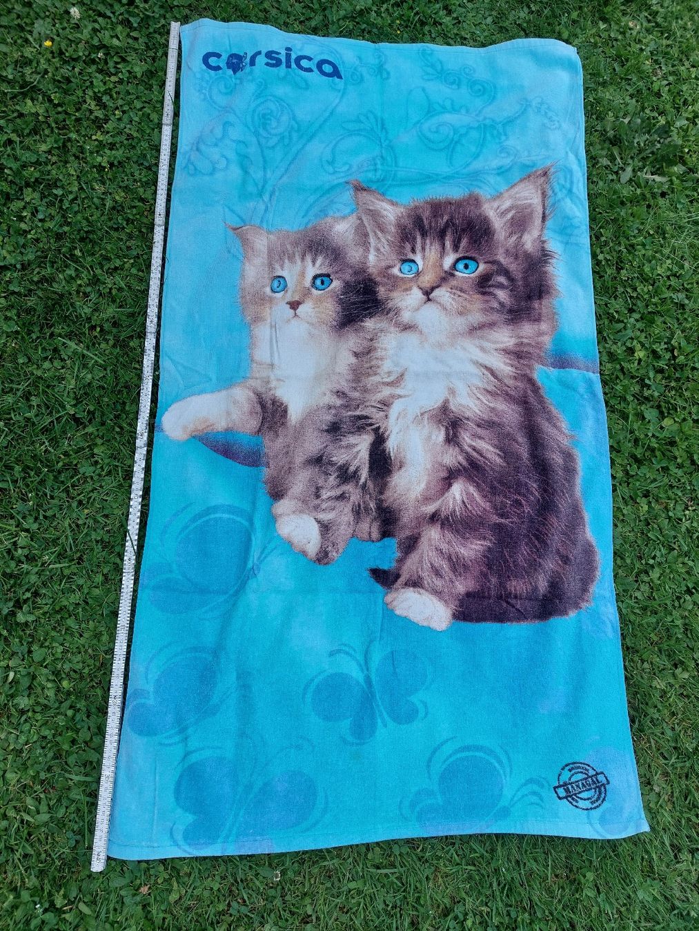 Teli da bagno: Serviette de plage  deux chatons bleus été – Usato da Mont-sur-Lausanne venduto da ane_pgq6