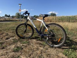 Crosswave S2000 Mountainbike weiss/blau