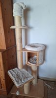 Mittelgrosser Katzenbaum, stark gebraucht, stabil