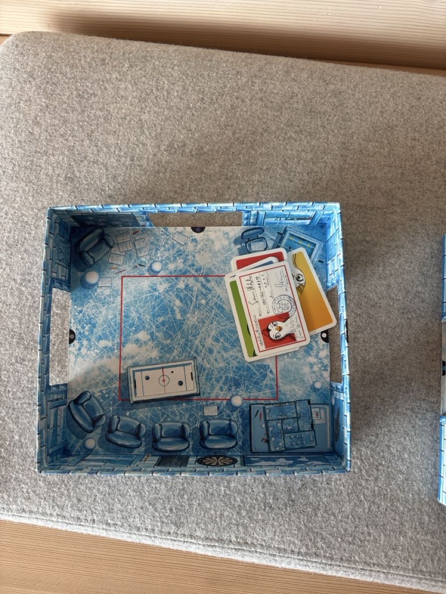 Amigo Giochi: Familienspiel ICECOOL – Usato da Pany venduto da stuf3 3