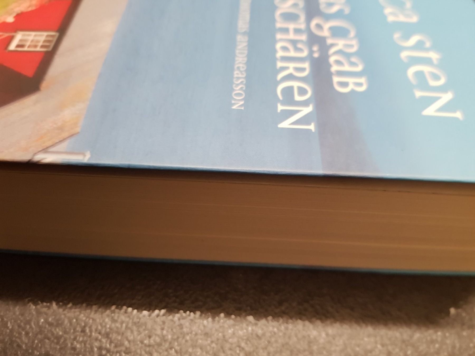 Livres: Das Grab in den Schären / Viveca Sten – D'occasion à Dietikon par marconi07 2