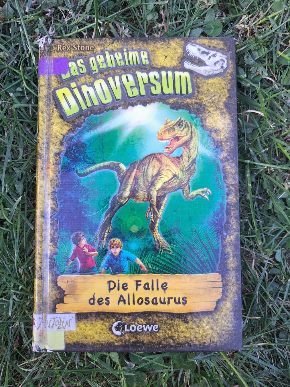 Libri: das geheime Dinoversum – Usato da Dachsen venduto da Mickymausi 2