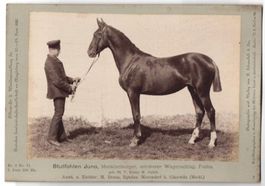Fotografie Schnaebeli, Berlin, Ausstellu