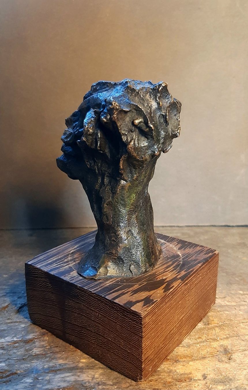 Sculture & Statue: Bronze Skulptur PIRA – Usato da Arbon venduto da torso444 4
