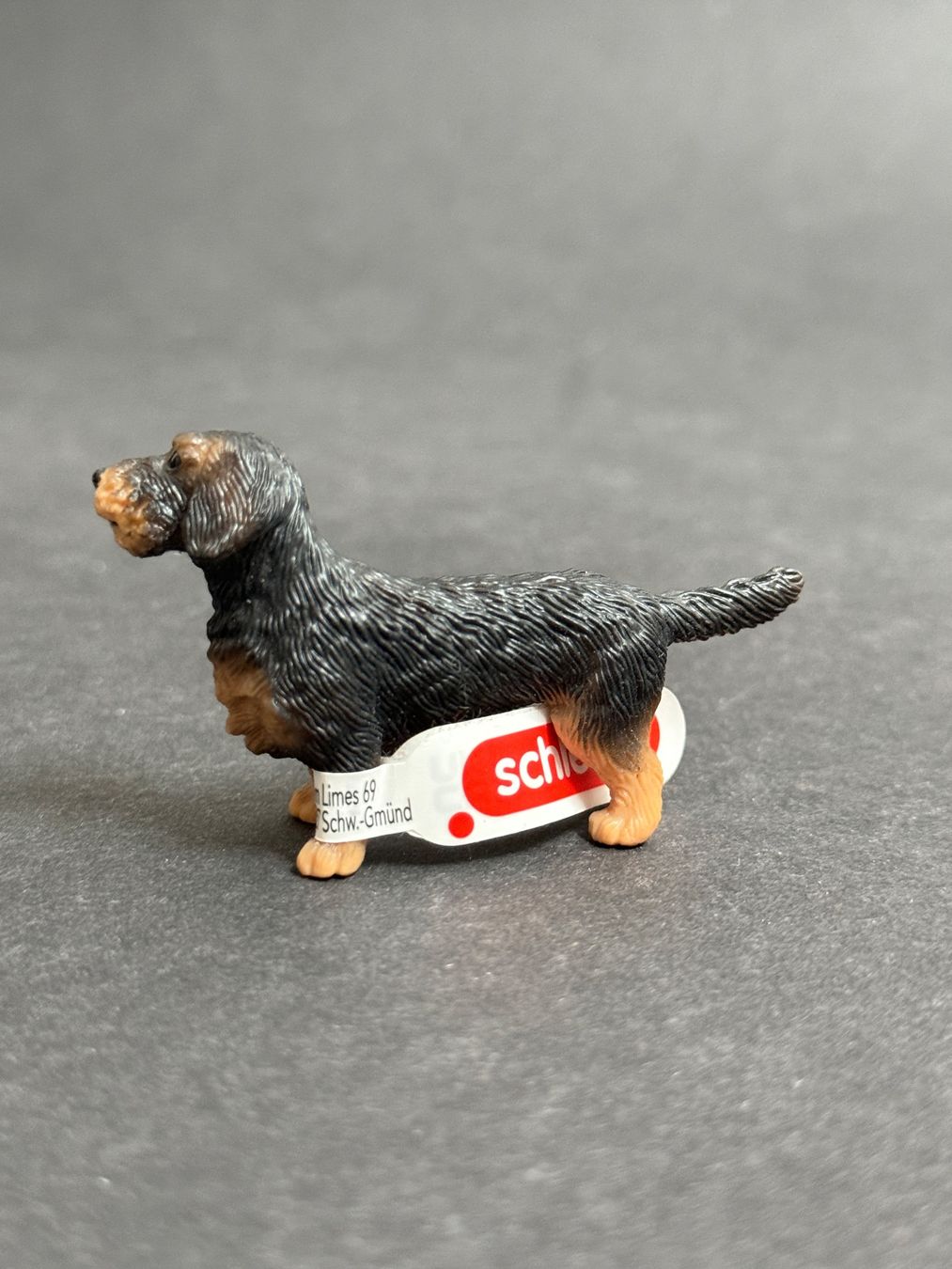 Schleich Statuette: Schleich Rauhaardackel Hund – Nuovo (secondo la descrizione) da Ennetbaden venduto da mapa05