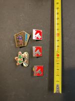 5 Pins - Skischule