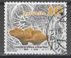 SCHWEIZ - Pilz : cantharellus cibarius (24