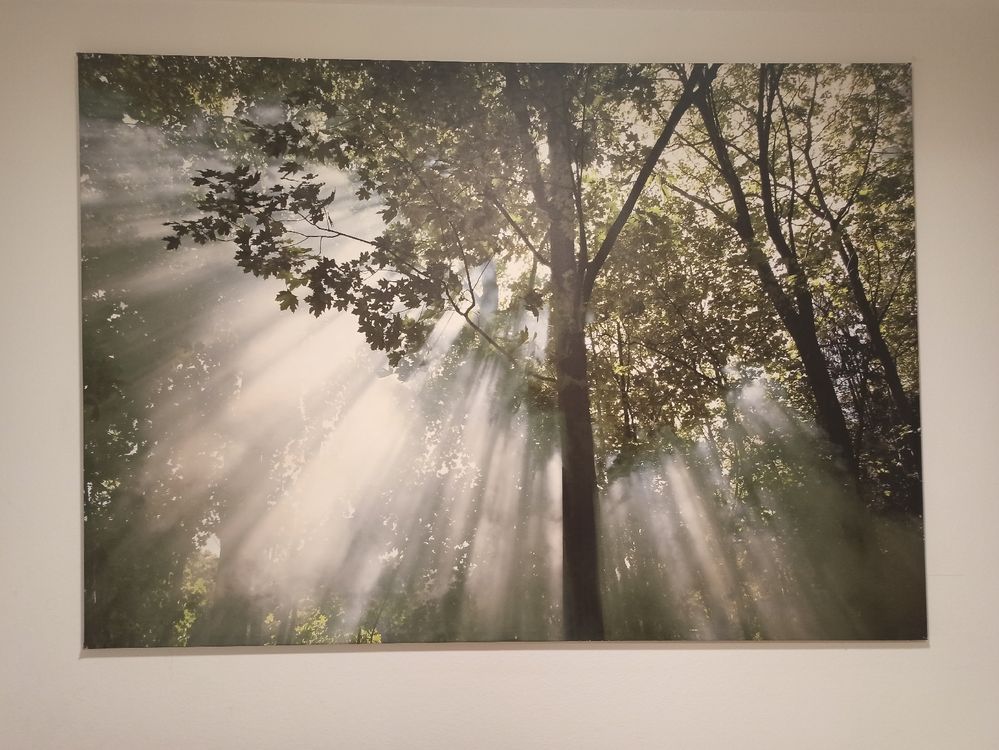 Ikea Bild 200x140 Wald