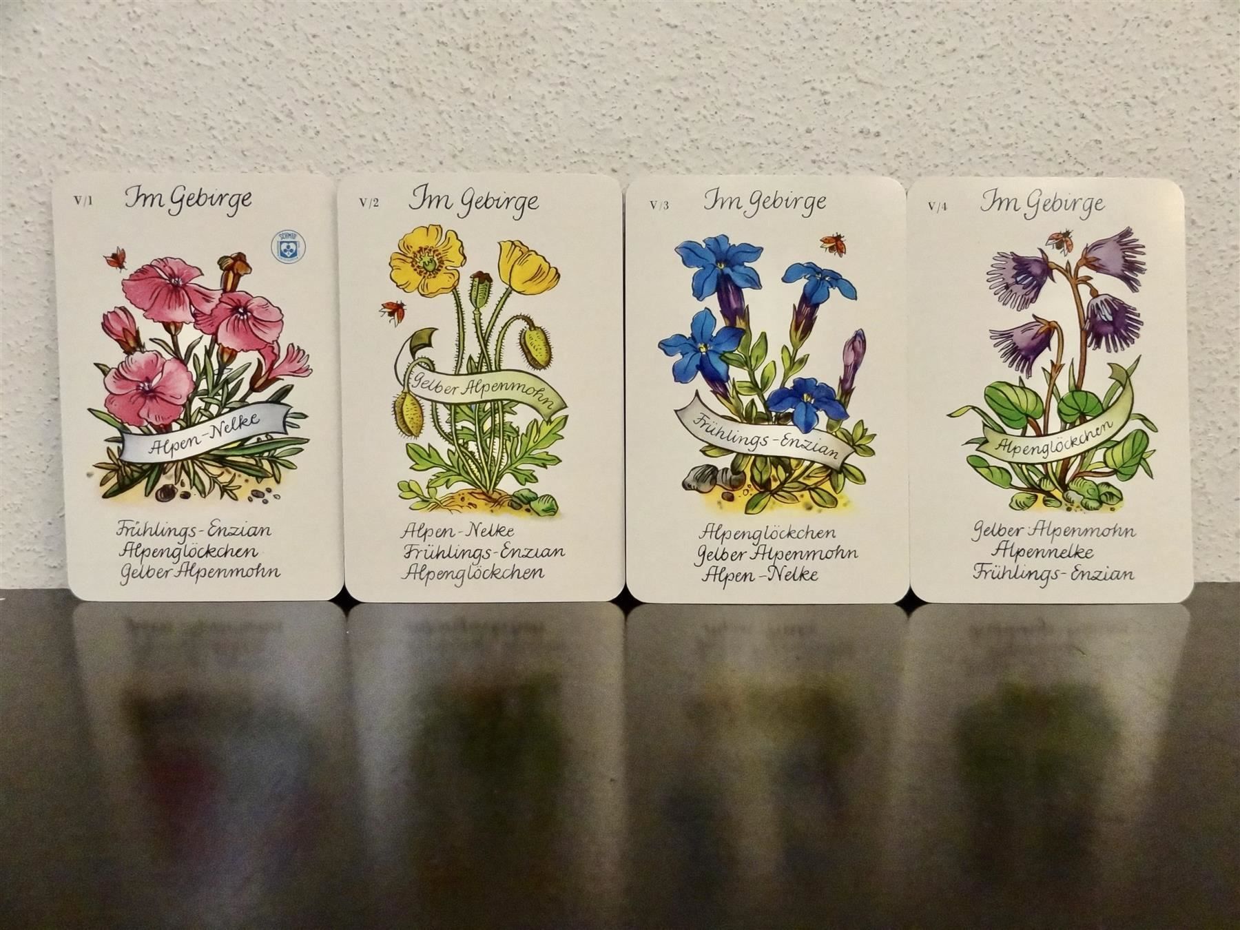Giochi: altes Quartett BLUMEN-QUARTETT BLUMEN – Usato da Kerzers venduto da wisaundso 7