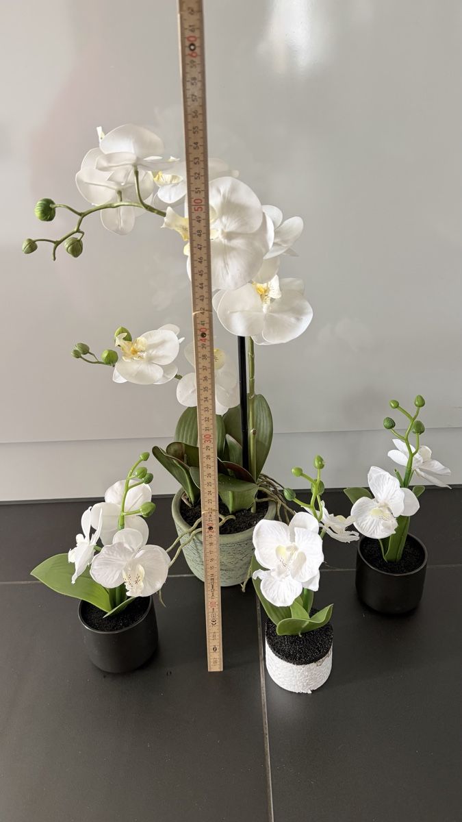Piante & sementi: Kunstpflanzen Orchideen weiss mit Kunsterde – Usato da Seuzach venduto da ann_w2zc 4