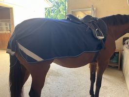 Buccas ausreitdecke 145cm