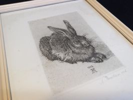 Der Feldhase 1502 Kunstdruck gerahmt - Albrecht Dürer