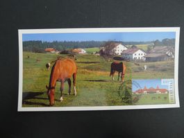 2014 Nr. W102 auf Maximumkarte mit ET Stempel