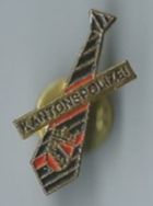 Kantonspolizei Bern Pin