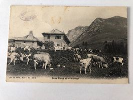 Gros Plané und das Moléson Kuhherde  Ch. Morel 1907