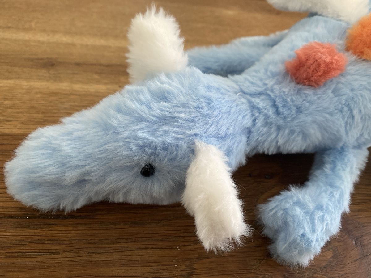 Jouets: Drachenplusch – Neuf (Voir description) à Beride d. Bedigli. par Connina 1