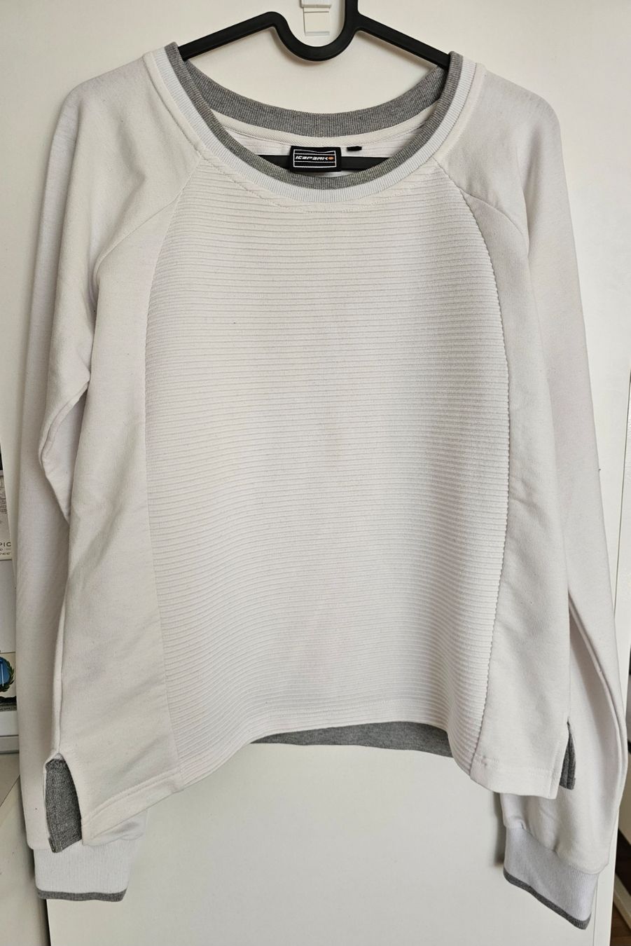 Icepeak Maglioni & Felpe: Icepeak Sweatshirt Gr. M – Nuovo (secondo la descrizione) da Neuenegg venduto da butterfly898