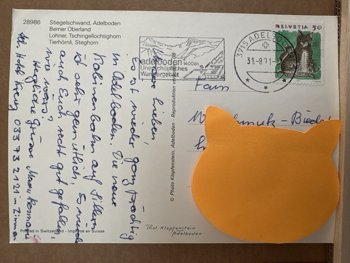 Cartoline postali: AK von Stiegelschwad Adelboden – Usato da Rümlang venduto da Kartenpost1 1