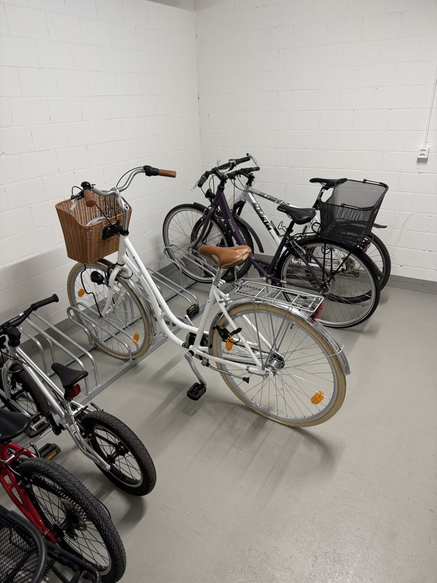Biciclette: City Bike – Nuovo (secondo la descrizione) da Buchs ZH venduto da Skovi73 2