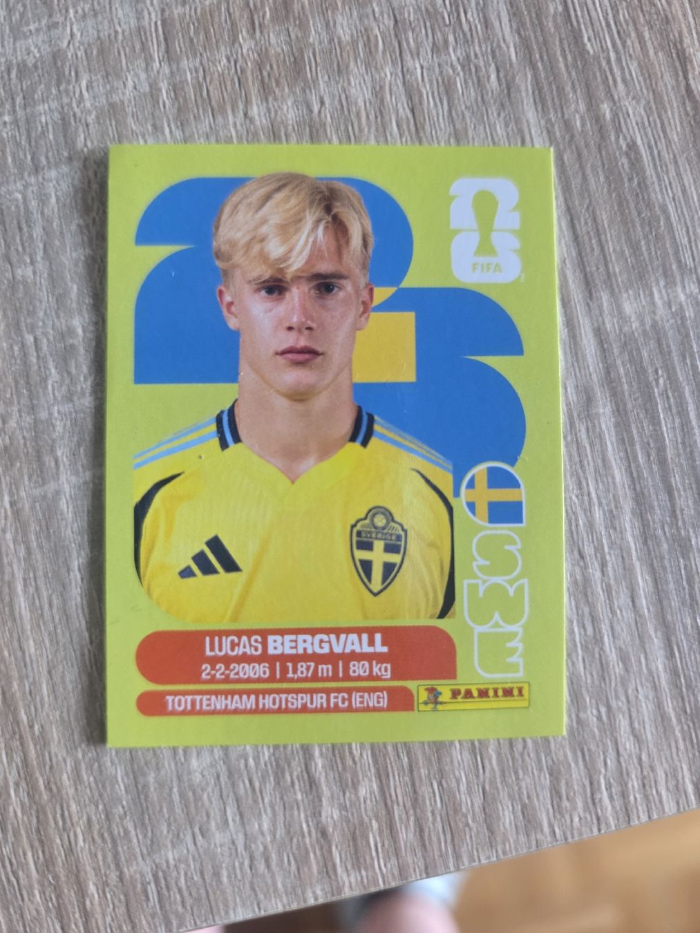 Panini Carte collezionabili: Panini Sticker SWE8 – Nuovo (secondo la descrizione) da Kriens venduto da Caroline_Schweiz