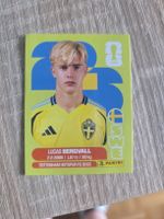 Panini Sticker SWE8