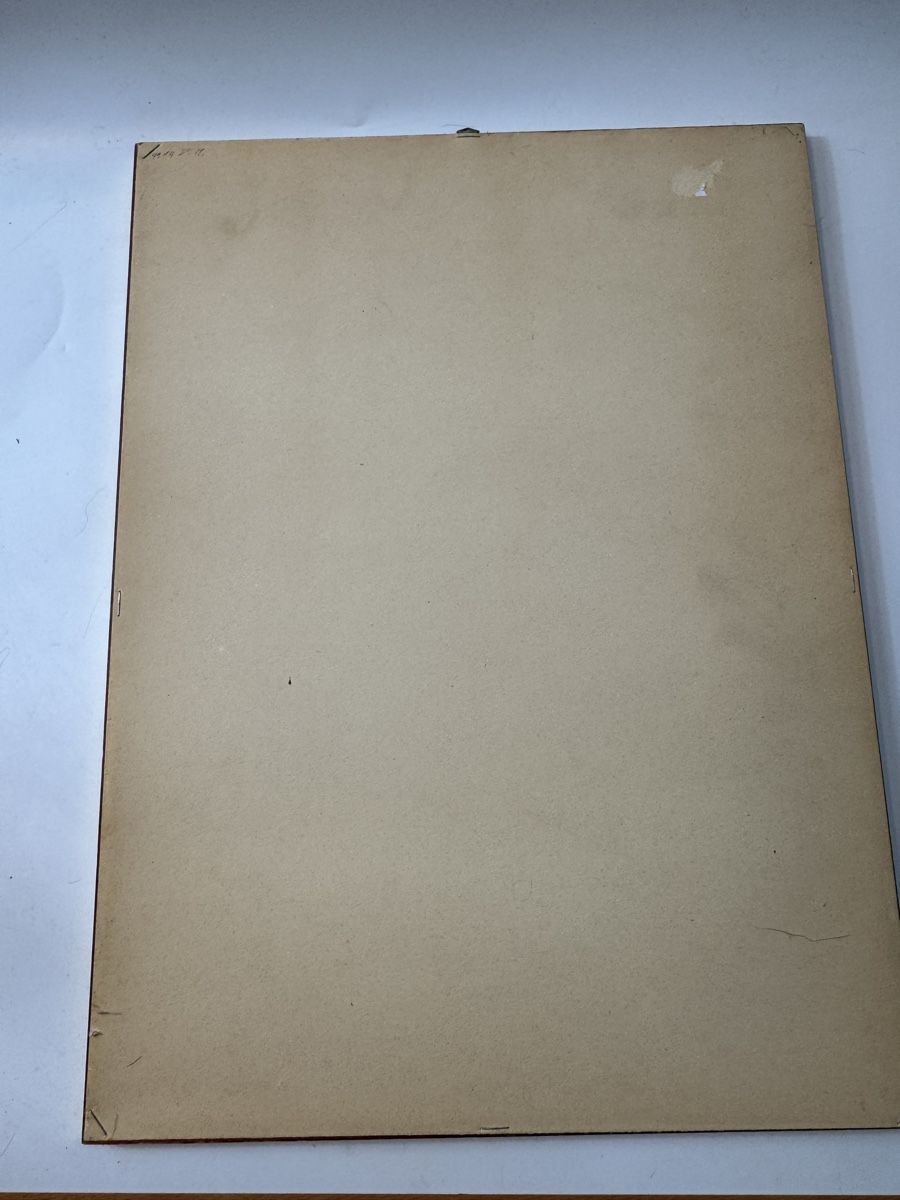 Grafica & Litografie: Altkolorierte Lithographie Regimentsarzt K. u. K.   B04# – Usato da Grenchen venduto da swiss.antiques 5