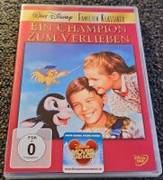  Ein Champion zum Verlieben (21118)