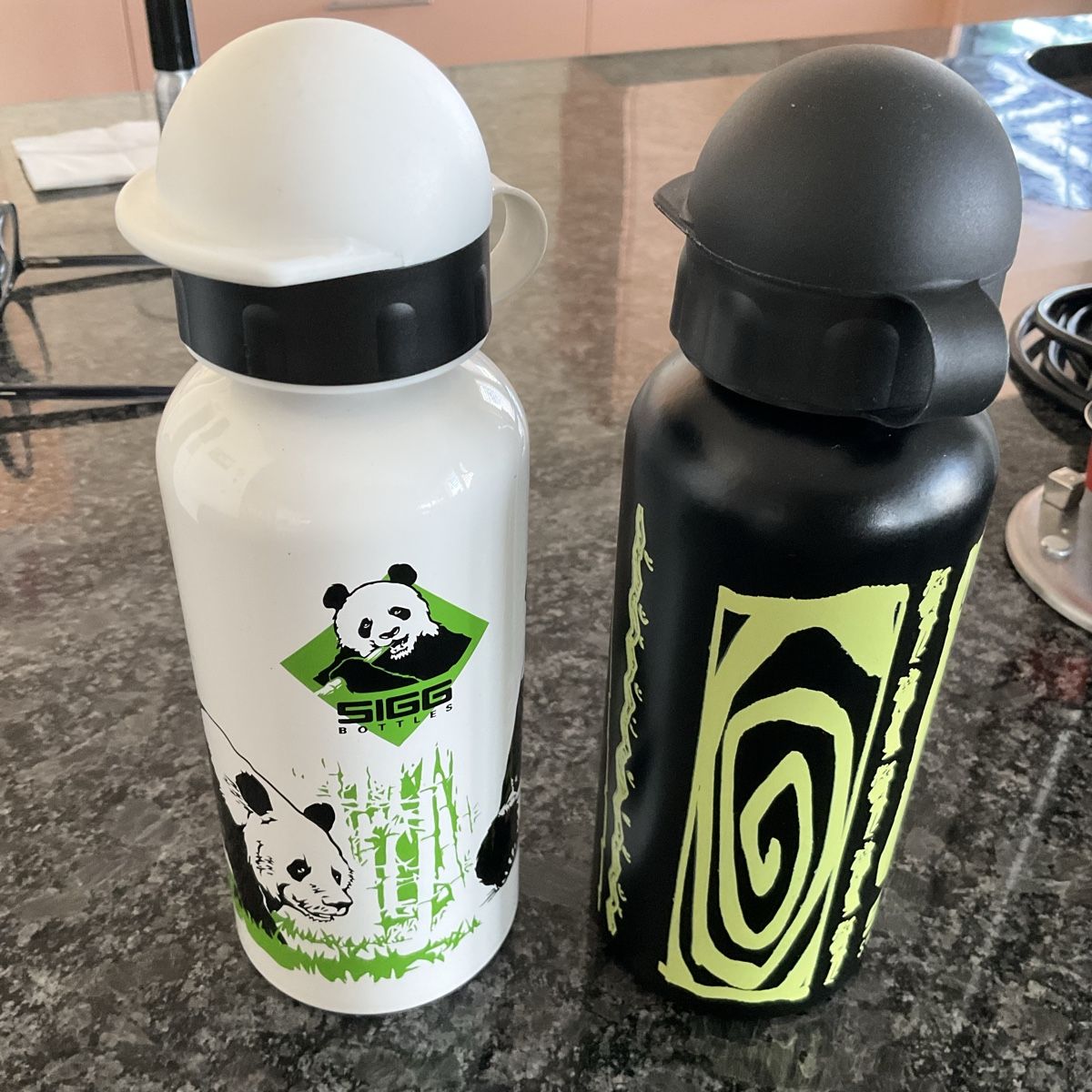 Sigg Borracce & Thermos: Bouteille SIGG isotherme – Usato da Murten venduto da Louis1954