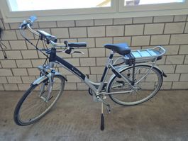 2 Stück E-Bike wellbike ab Fr. 1.-