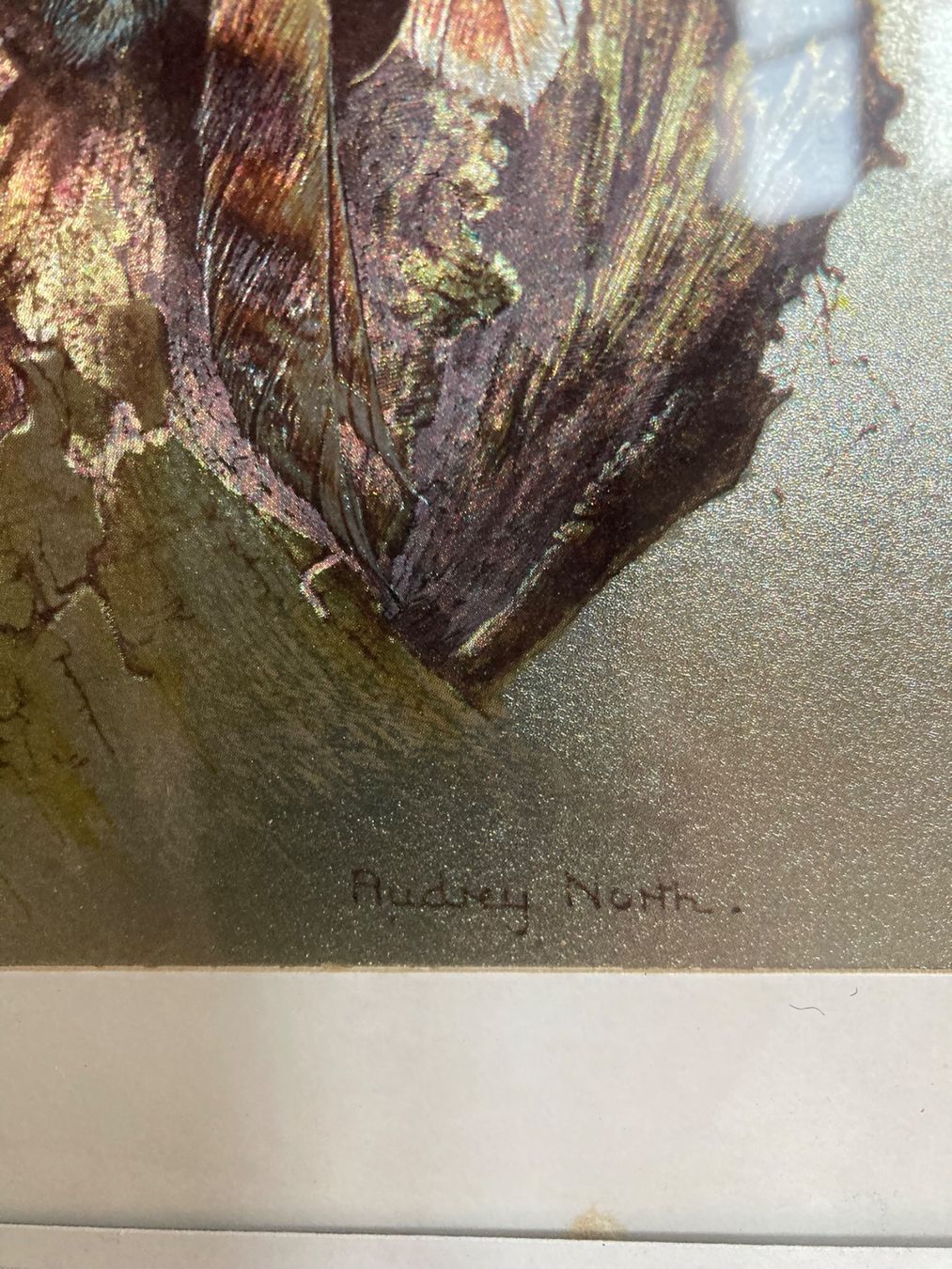 Poster & Bilder: Audrey North metallic Vintage Bild – Gebraucht aus Horw von adler65 4