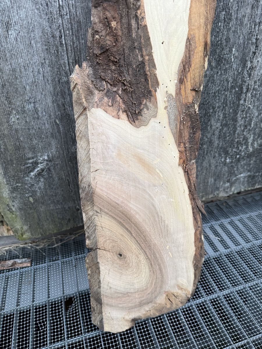 Articoli in legno: Nussbaum Brett gehobelt – Usato da Frick venduto da nannali98 1