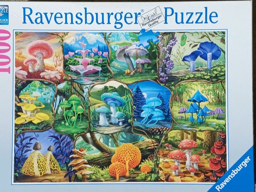Ravensburger Puzzles: Puzzle – D'occasion à Schöftland par orella7