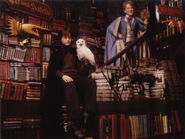 Original Autogramm KENNETH BRANAGH (Harry Potter) Großfoto