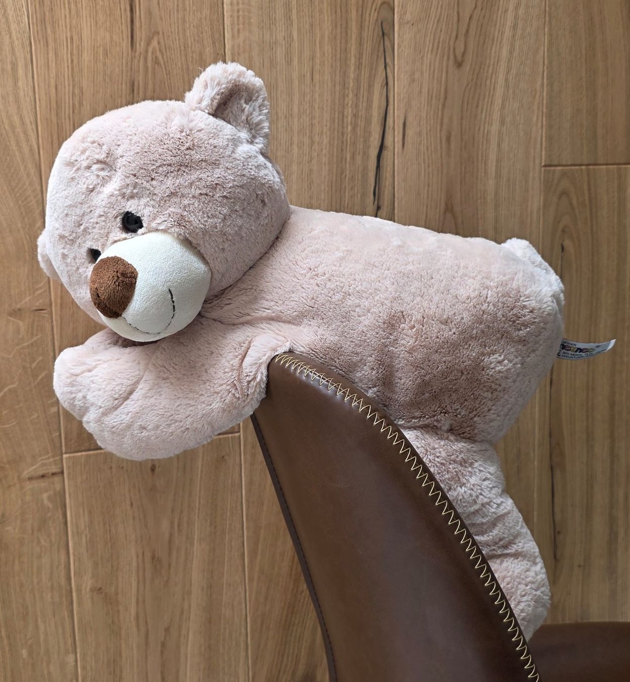 Steiff Spielzeuge: Steiff Teddybär rosa  – Neu (gemäss Beschreibung) aus Rheinsulz von Dred 1