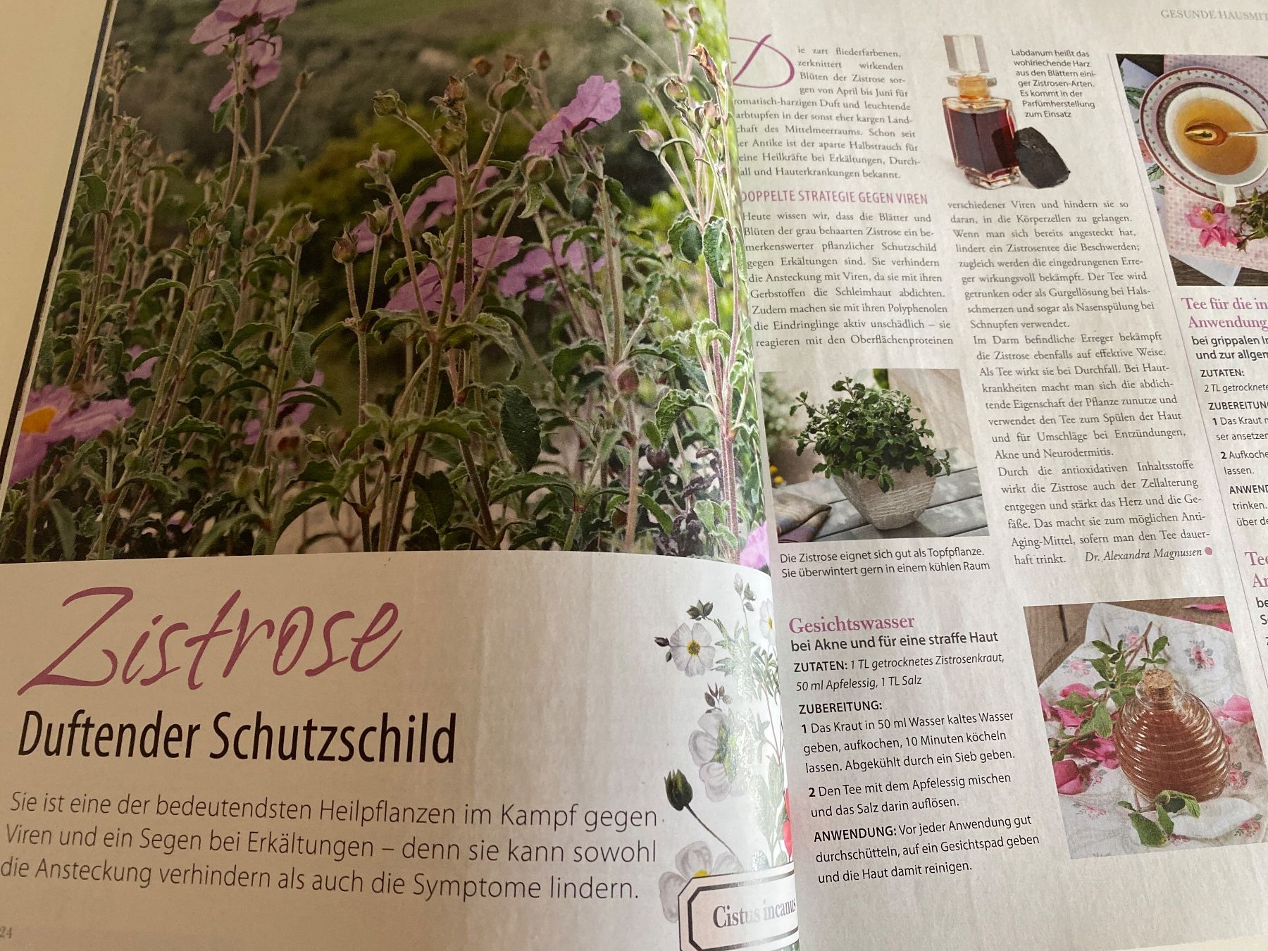 Zeitschriften & Magazine: MAGAZIN LAND APOTHEKE DAS ORIGINAL – Gebraucht aus Meienried von ManuelaBoutique 2