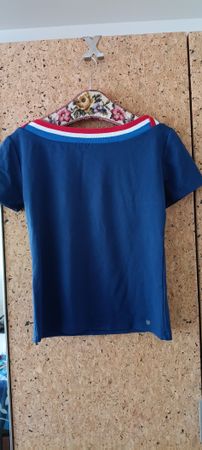 Blue Tee with Tricolor Collar - Summer Style M