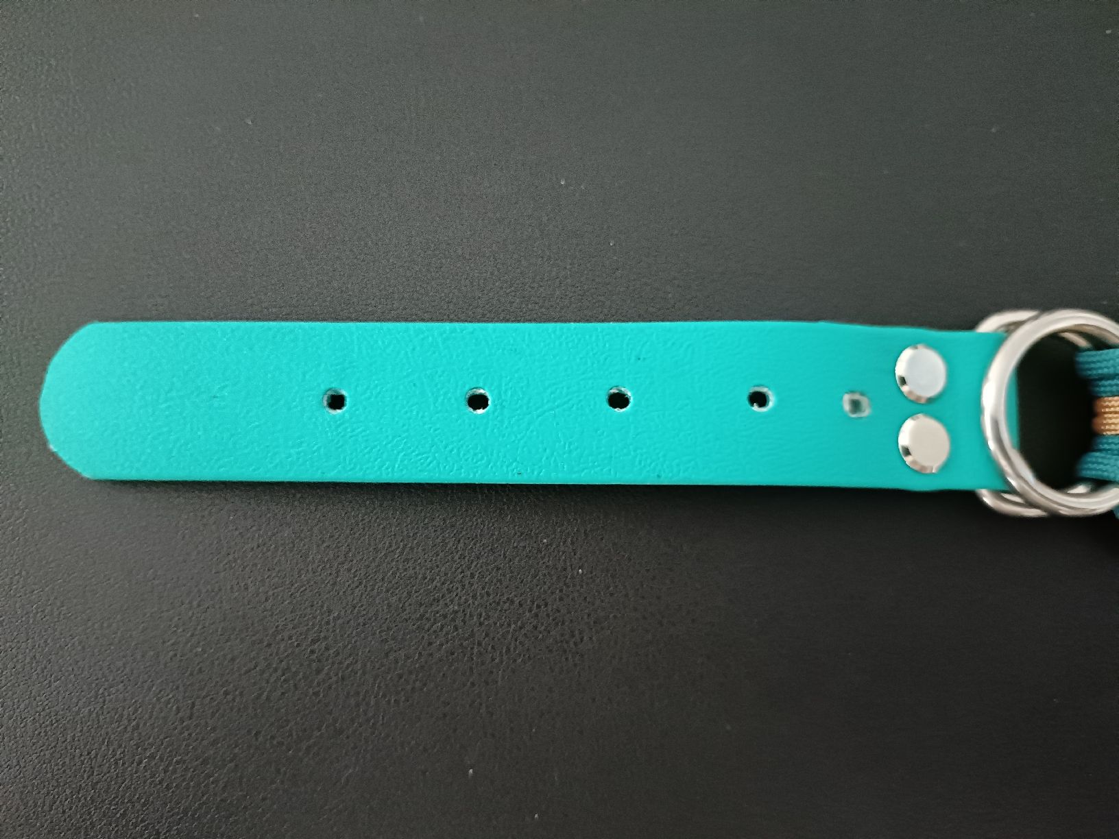 Guinzagli & Collari: Hundehalsband  – Nuovo (secondo la descrizione) da Bergdietikon venduto da Bico01 4