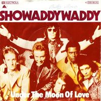 SHOWADDYWADDY/"Under the moon of love"(1976)/Kult-Hit!