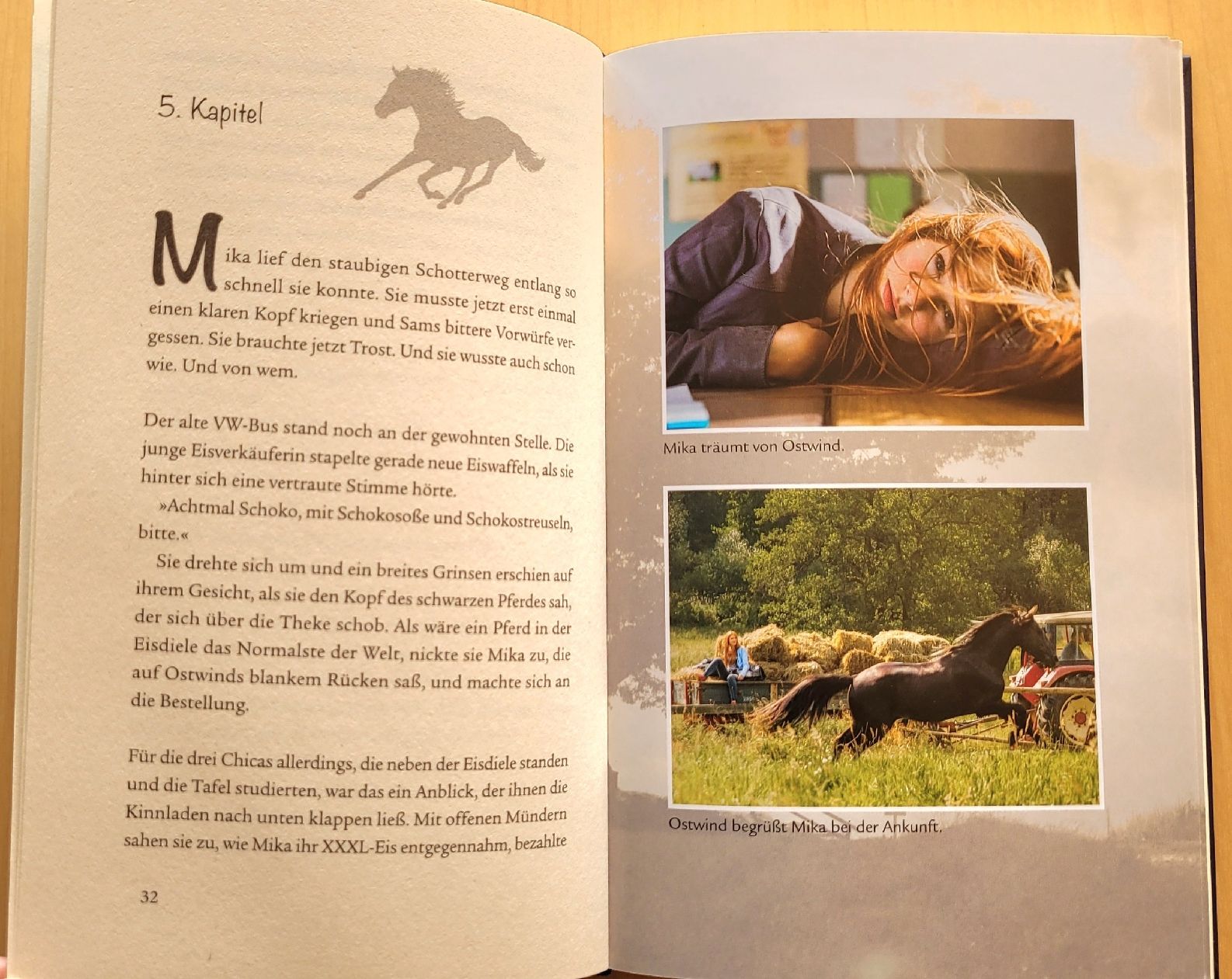 Libri: 2 Ostwind-Bücher – Nuovo (secondo la descrizione) da Madiswil venduto da Laubfleck 3