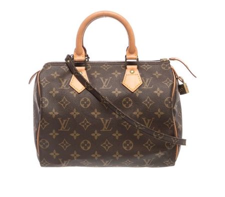 Louis Vuitton Speedy 25