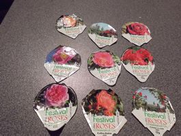 Kaffeerahmdeckeli Serie Festival Roses